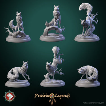Magic Fox Bundle